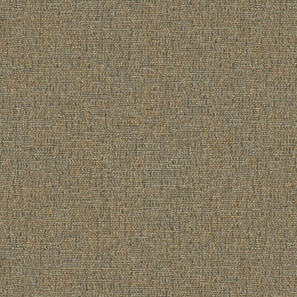 Tamar Hickory