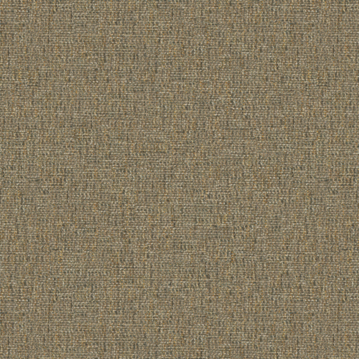 Tamar Hickory