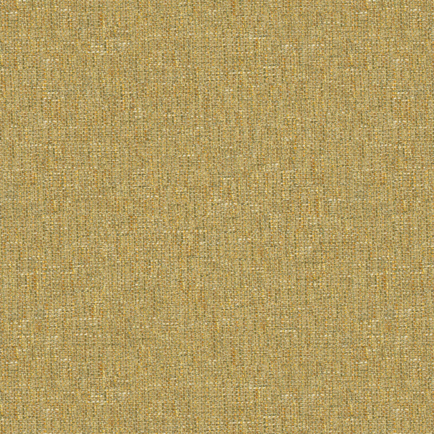 Tamar Sandstone